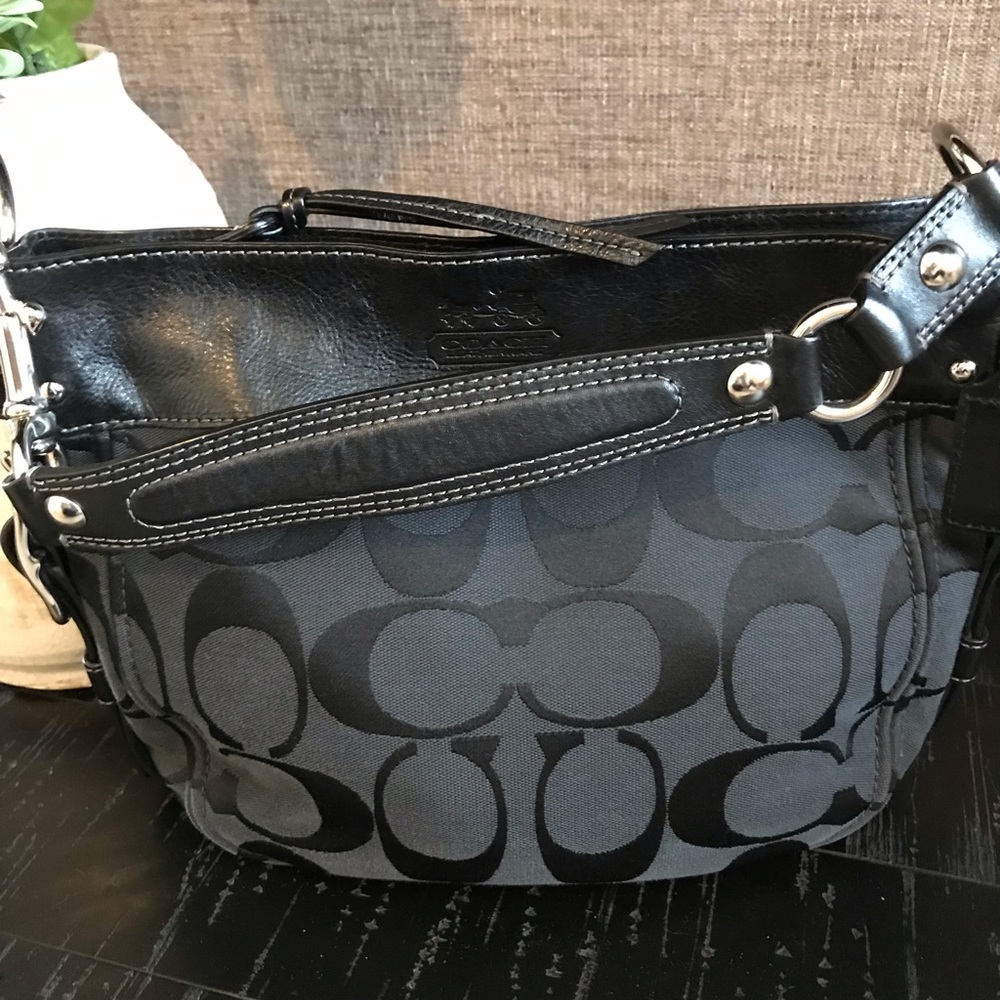 Coach Zoe Hobo Bag